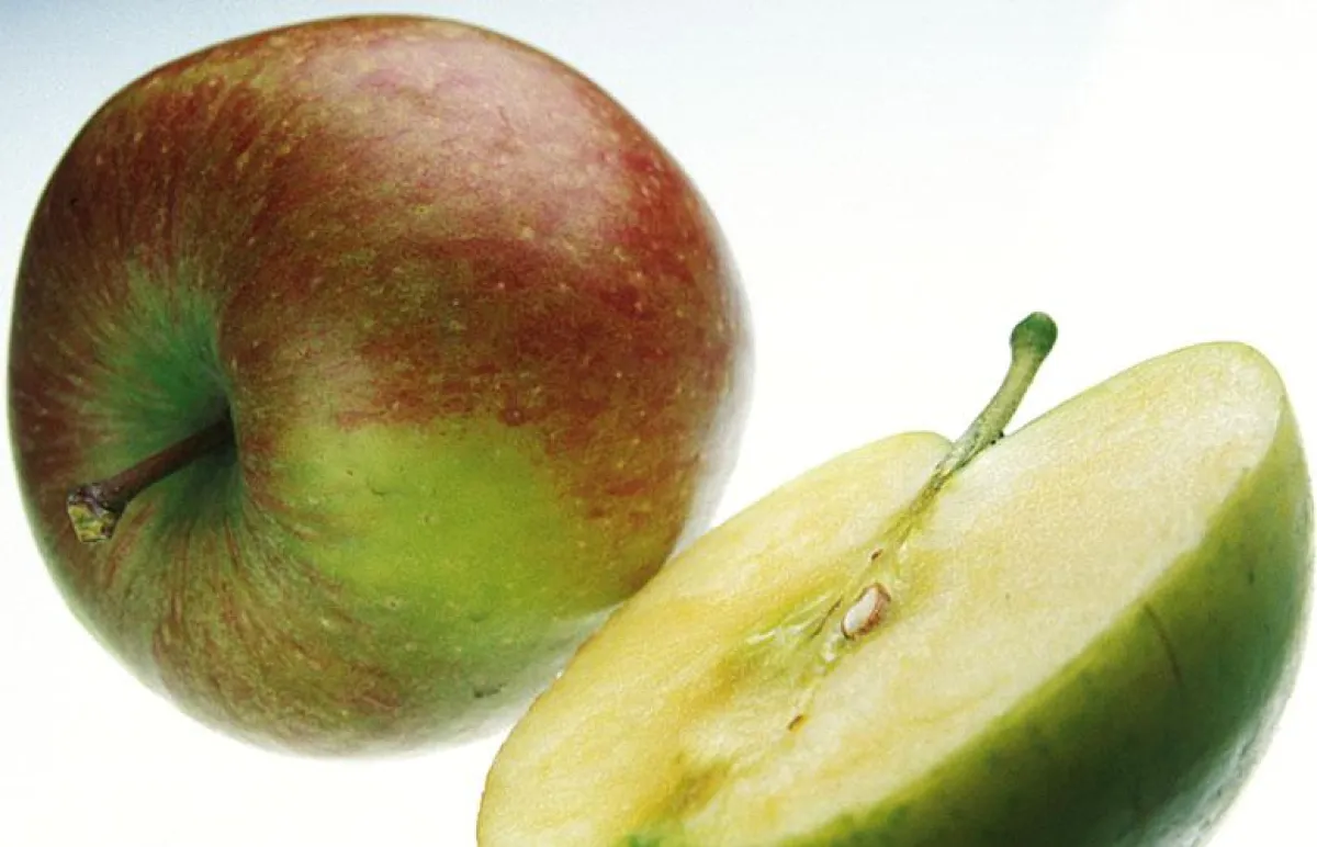 Äpfel sind die besten Fitmacher für unterwegs, ob als ganze Frucht oder Obstdrink.