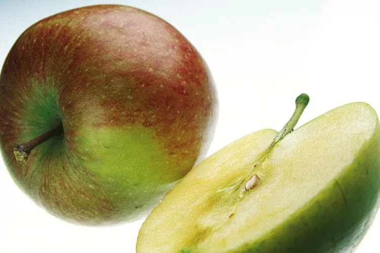 Bild: Tipps zur richtigen Ernährung unterwegs – von Automobil-Experte Christian Danner