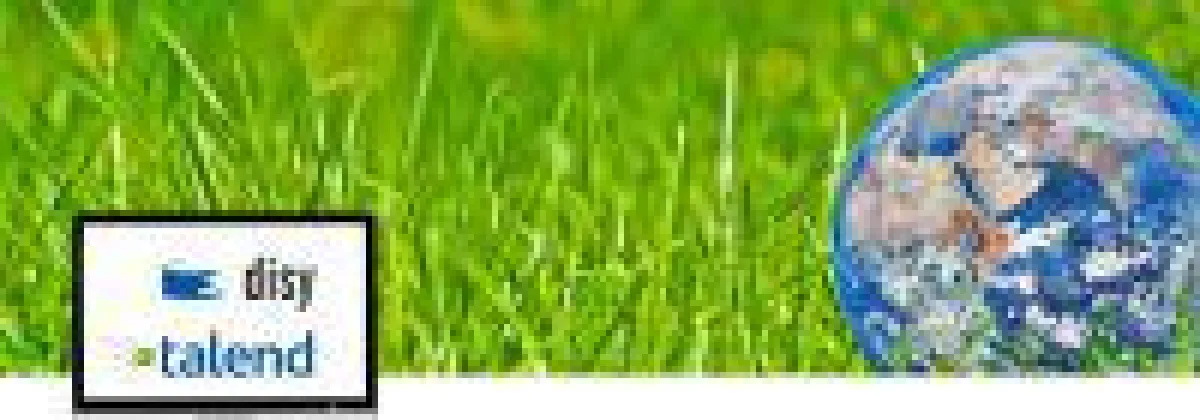 Geospatial Integration für Talend