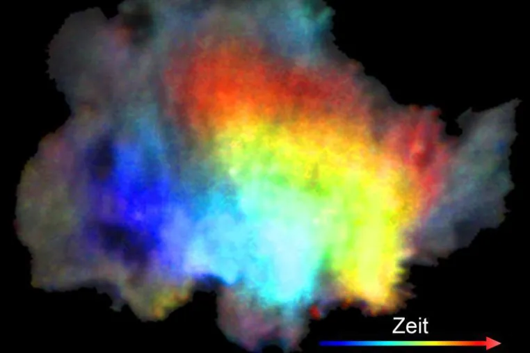 Vorsichtiges Herantaten: Wie sich einzelne Zellen in der Umgenung orientieren Bild: Vorsichtiges Herantaten: Wie sich einzelne Zellen in der Umgenung orientieren