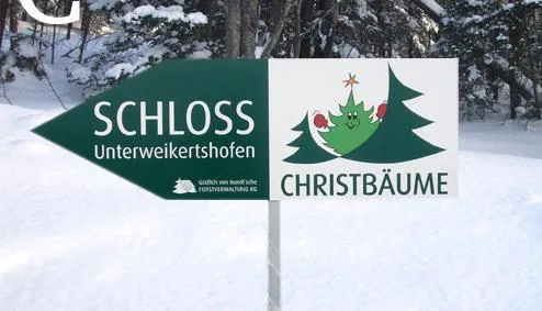 Bild: Weihnachtsbäume vom Grafen höchstpersönlich