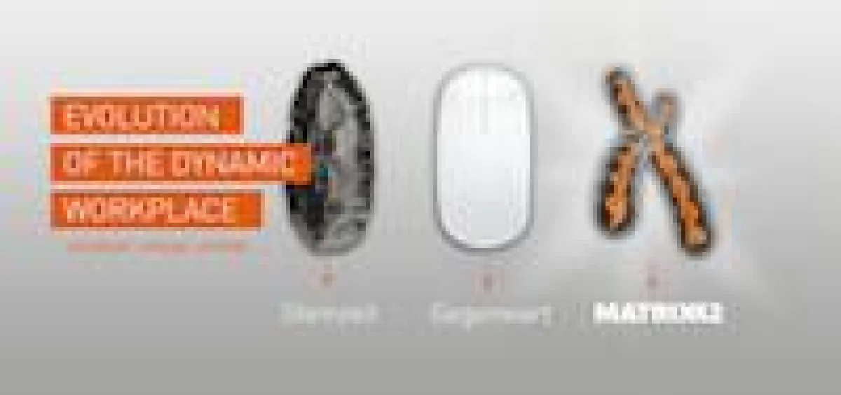 Survival of the fittest: Die Evolution der IT zum dynamischen Arbeitsplatz