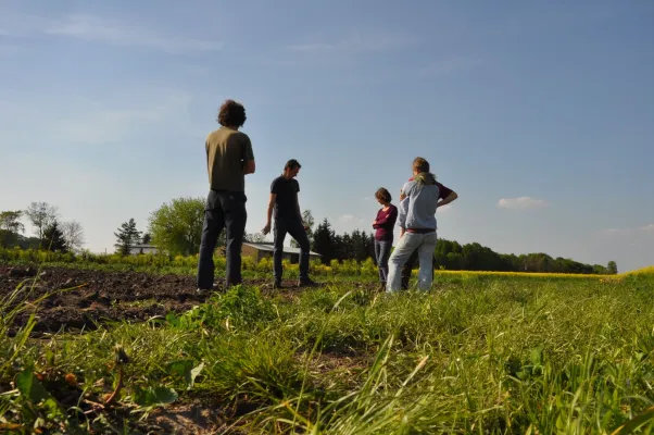 Bild: Neue Flächenplattform vernetzt Junglandwirt/innen und Existenzgründer/innen mit Flächeneigentümern