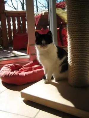 Bild: Einfühlungsvermögen für Zweibeiner und Vierbeiner