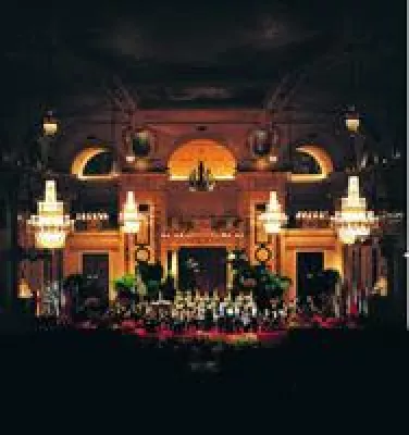 Bild: Neujahrskonzerte - eine österreichische Tradition vor dem Aus?