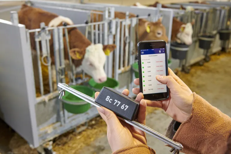 Bild: Einzigartiges Frühwarnsystem für Kälberkrankheiten gewinnt Innovationspreis