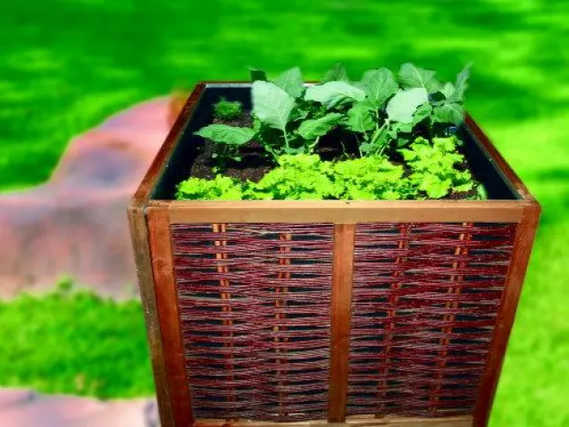 Bild: Neu auf dem Markt: Hochbeet aus Weide als praktischer Bausatz