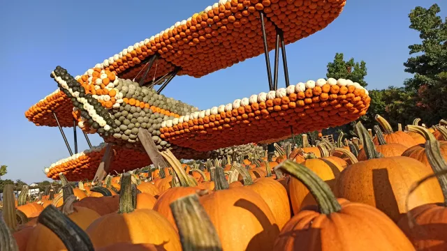 Bild: Freizeittipp: Das Kürbisland im Rhein-Main Gebiet