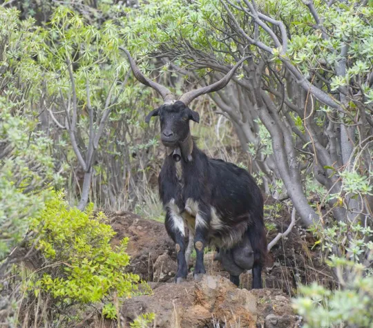 Bild: Fotoreise La Palma mit der Fotoschule des Sehens