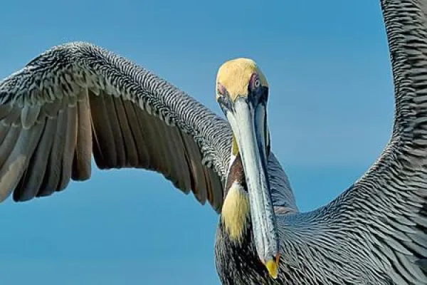 Bild: Tierfotografie im Vogelpark Walsrode - Fotokurs für Einsteiger