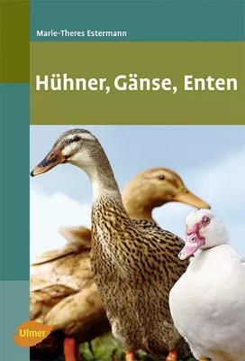 Bild: Hühner, Gänse, Enten