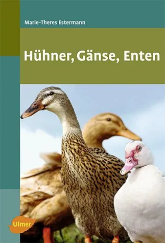 Bild: Hühner, Gänse, Enten