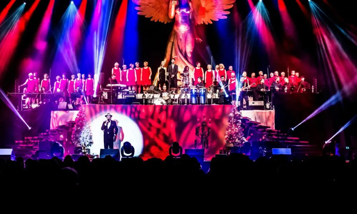 White Christmas Show