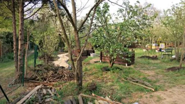 Bild: Bienenretter: Neuer Bienenerlebnisgarten entsteht im Grüngürtel in Frankfurt Sachsenhausen