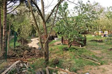 Bild: Bienenretter: Neuer Bienenerlebnisgarten entsteht im Grüngürtel in Frankfurt Sachsenhausen