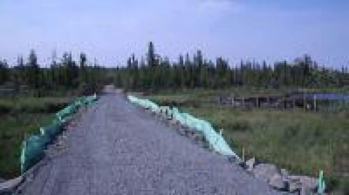 Quelle: Revival Gold