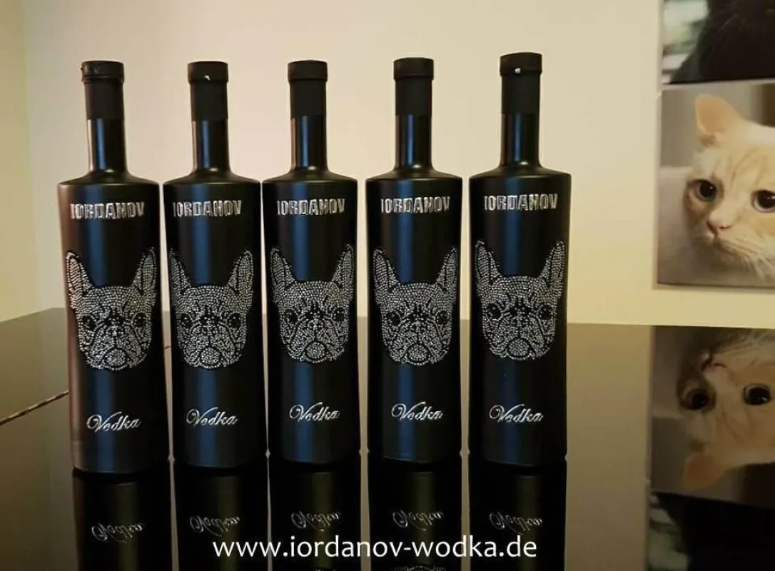 Französische Bulldoge Wodka