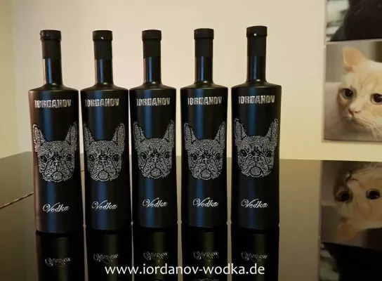 Bild: French Bulldog Iordanov Vodka Edition