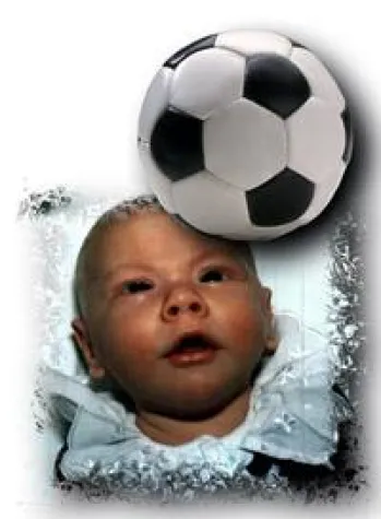 Fußball-WM 2018 als Umsatzbringer nutzen Bild: Fußball-WM 2018 als Umsatzbringer nutzen