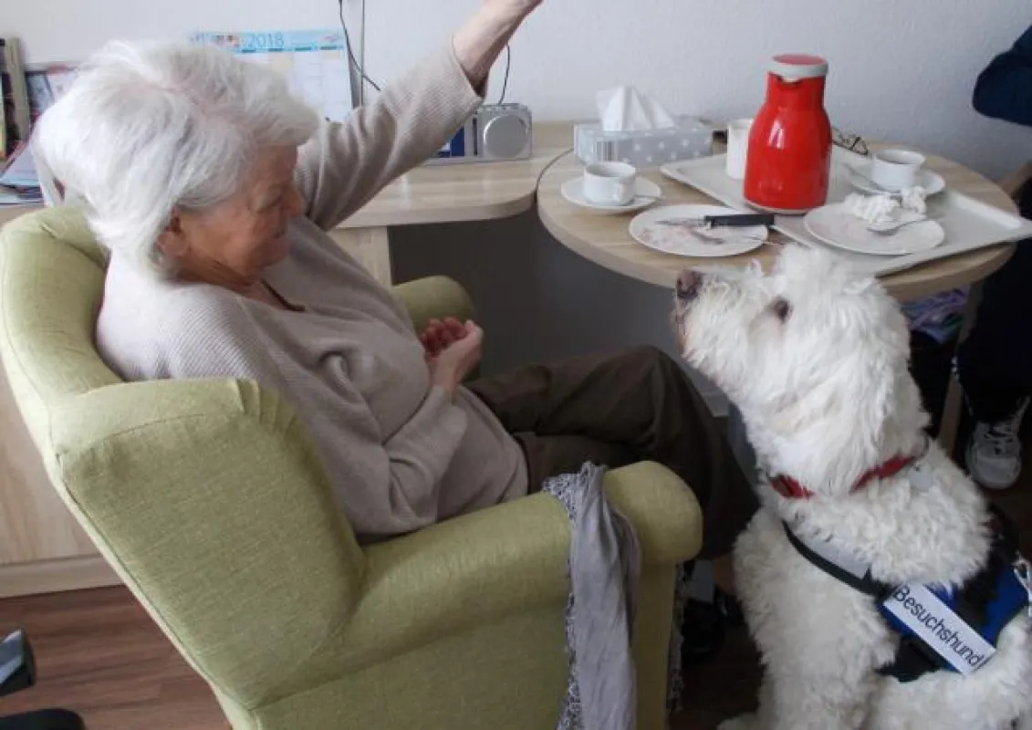 Besuchshund Kimi im Seniorenzentrum der Zieglerschen