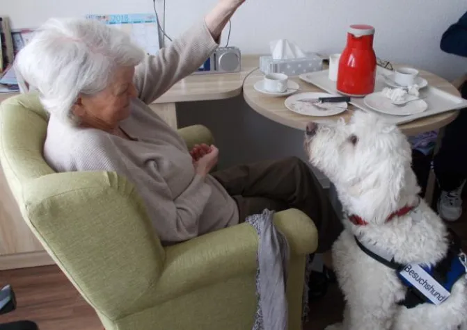 Streicheleinheiten für die Seele Bild: Streicheleinheiten für die Seele