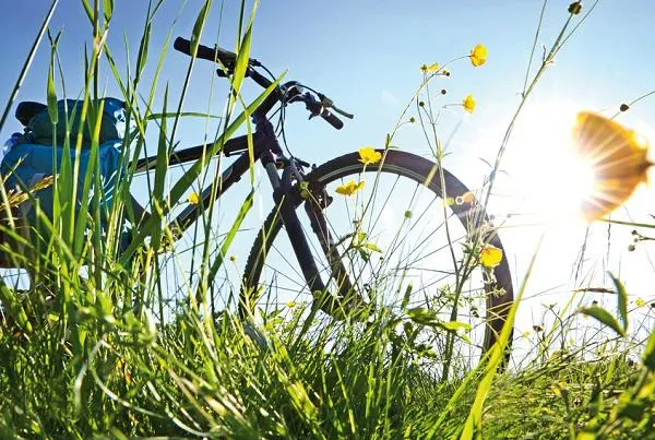 Bild: 13. Paderborner Fahrradtag ein „frischer“ Erfolg