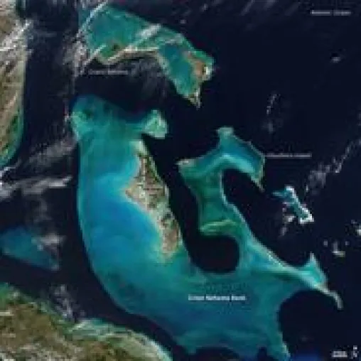 Bild: GASTFREUNDSCHAFT, ABGESCHIEDENHEIT UND NATUR PUR - DIE BAHAMAS