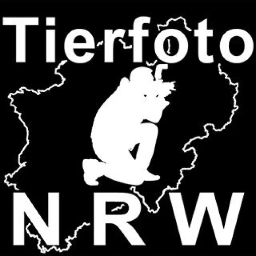 Bild: Pressetermin: Erstes Tierfotostudio in Bochum