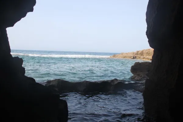 Bild: Nicht nur Spanisch lernen – sondern gleichzeitig auch das Land Valencia erleben