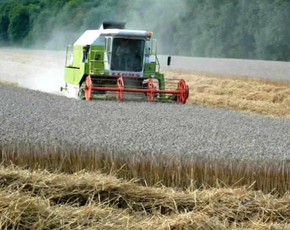 Bild: Agrar-News – Landwirtschaft im Fokus