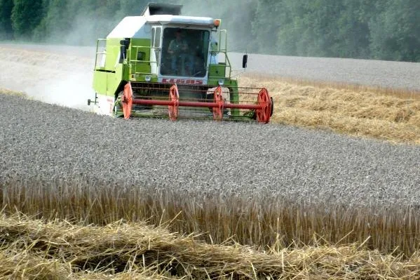 Bild: Agrar-News – Landwirtschaft im Fokus