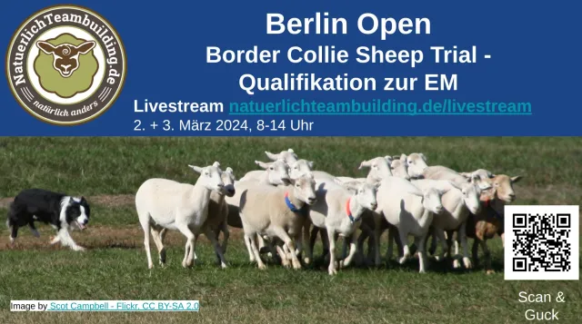 Bild: Berlin Open - Border Collie Schafehüten am Wochenende (2.+3. März) im Livestream