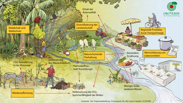 Von der Klimakrise zur globalen Chance – Wie Regenwaldschutz, Landwirtschaft und Ernährung zusammenhängen Bild: Von der Klimakrise zur globalen Chance – Wie Regenwaldschutz, Landwirtschaft und Ernährung zusammenhängen