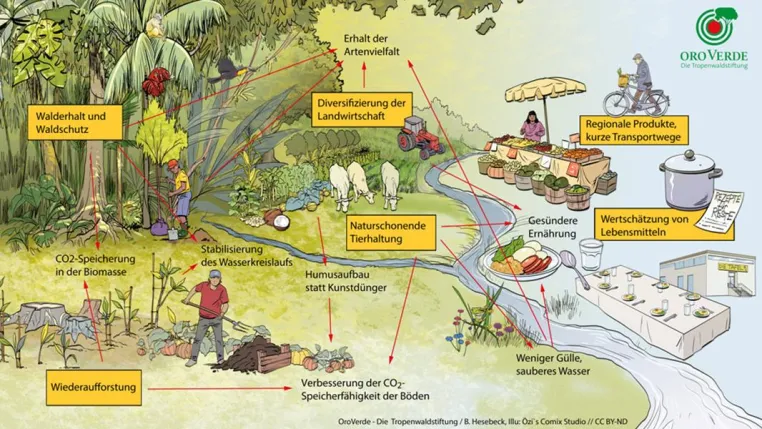 Von der Klimakrise zur globalen Chance – Wie Regenwaldschutz, Landwirtschaft und Ernährung zusammenhängen Bild: Von der Klimakrise zur globalen Chance – Wie Regenwaldschutz, Landwirtschaft und Ernährung zusammenhängen