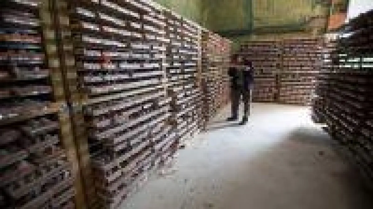 Quelle: Treasury Metals