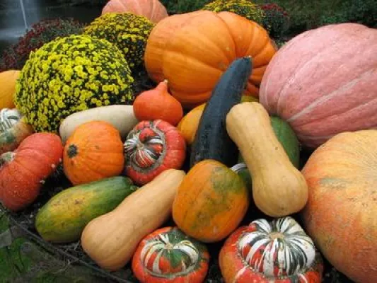 Bild: It's Halloween again