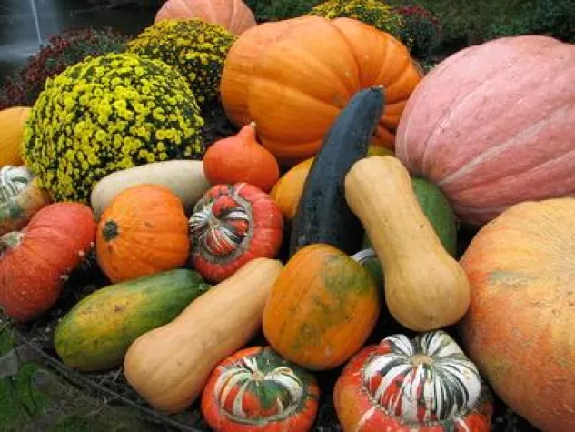 Bild: It's Halloween again