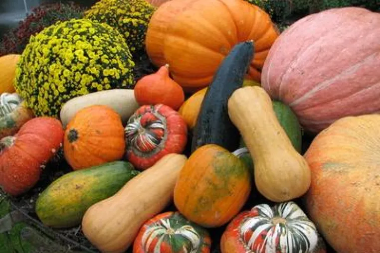 Bild: It's Halloween again