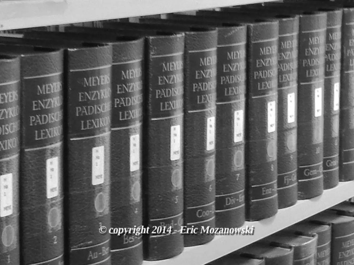 Diskussionsbeitrag Eric Mozanowski Prägung und Anregungen für Volkswirtschaft, Gesellschaft, Gewaltb
