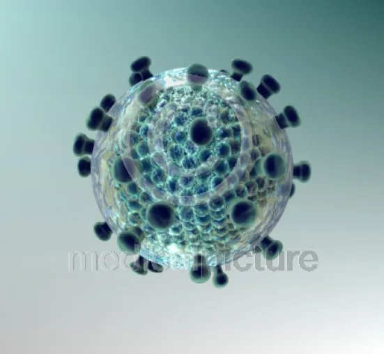 Bild: Keine Entwarnung bei Aids – medicalpicture zeigt das Virus hautnah