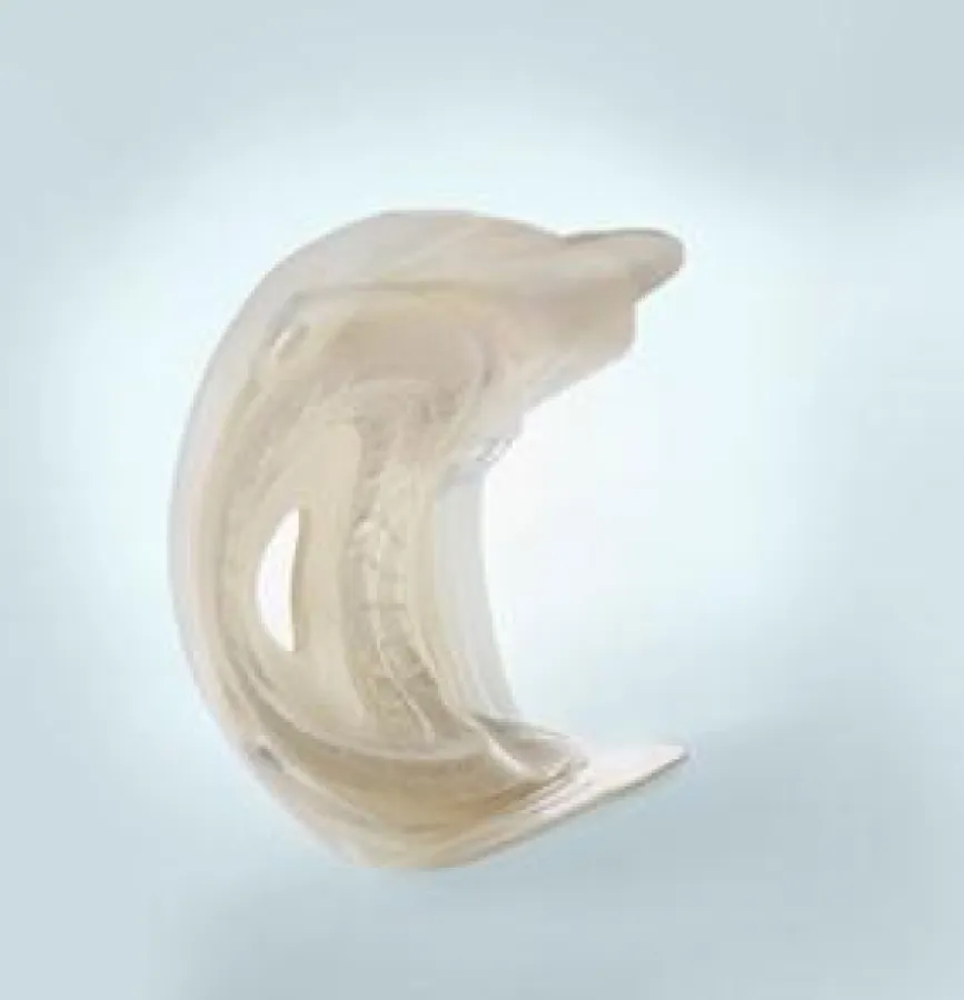 Die anpassungsfähige konvexe Schale des SenSura® Mio Konvex passt sich jeder Körperform an.