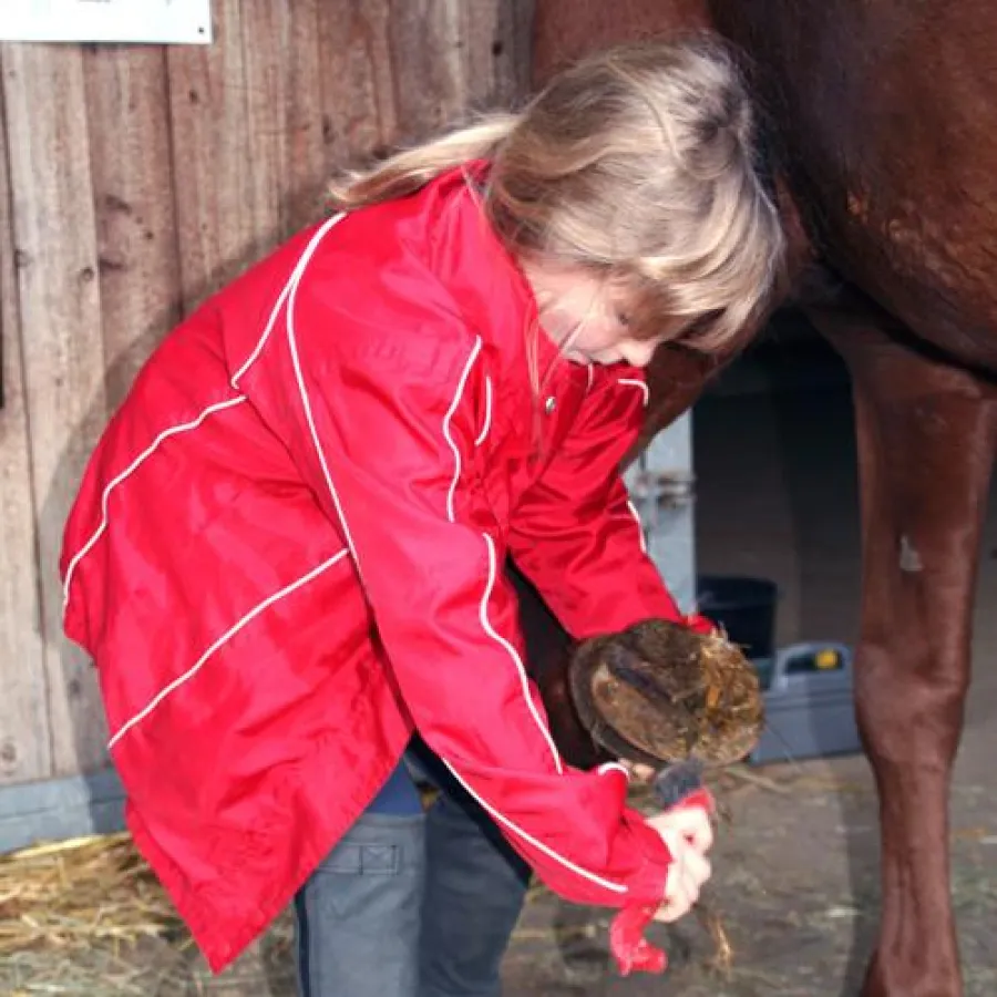 Schon die Kleinsten lernen bei der RSG Eddersheim den Umgang mit dem Pferd.