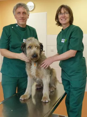 Neues Tierleben in Alter Feuerwache Bild: Neues Tierleben in Alter Feuerwache