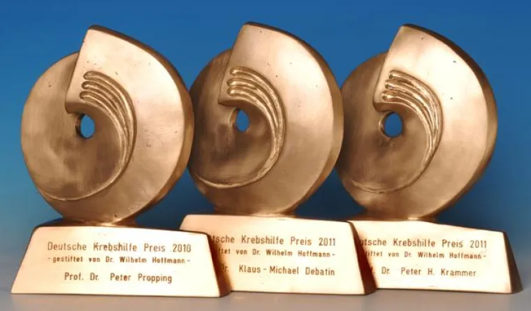 Bild: Deutsche Krebshilfe Preise 2010 und 2011 verliehen