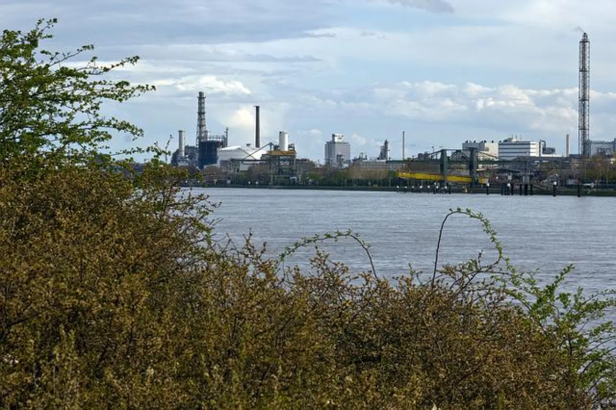 MPU Vorbereitung Ludwigshafen