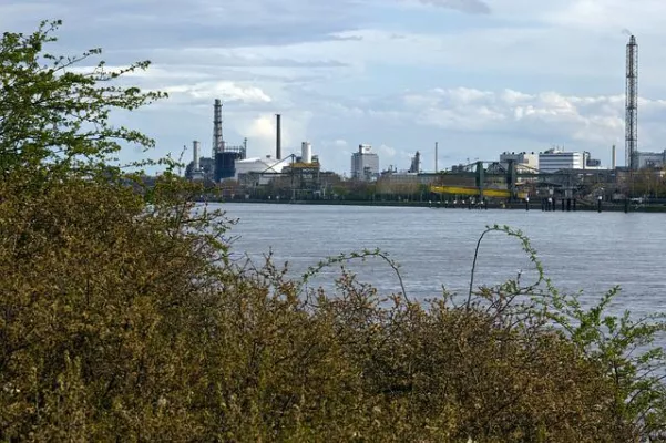 Bild: + NEU + 3x in Ludwigshafen