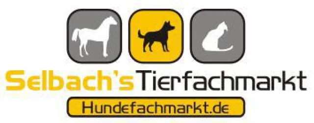 Bild: Hund im Sommer ... hundefachmarkt.de bietet vieles was den Hund durch die heißen Tage begleitet