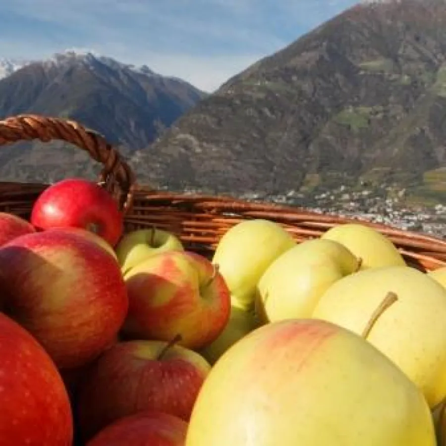 Die herbstliche Erntezeit in Südtirol ist die Zeit der Äpfel und der regionalen Spezialitäten. (SMG)