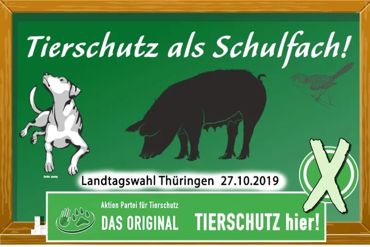 Bild: Tierschutz in der Bildung