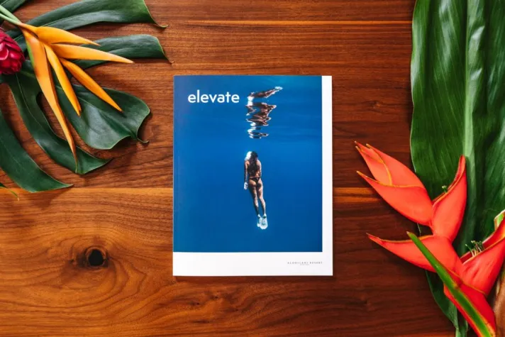 Bild: Die Relevanz von Printwerbung im Zeitalter digitaler Medien